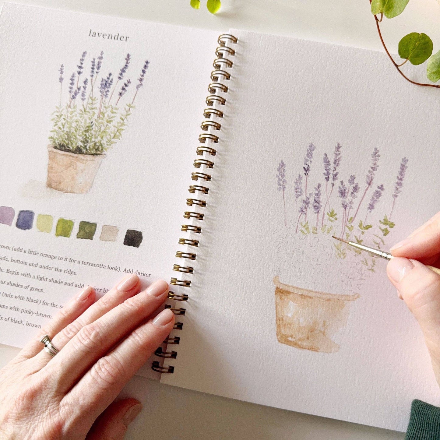 emily lex studio - Garden watercolor workbook