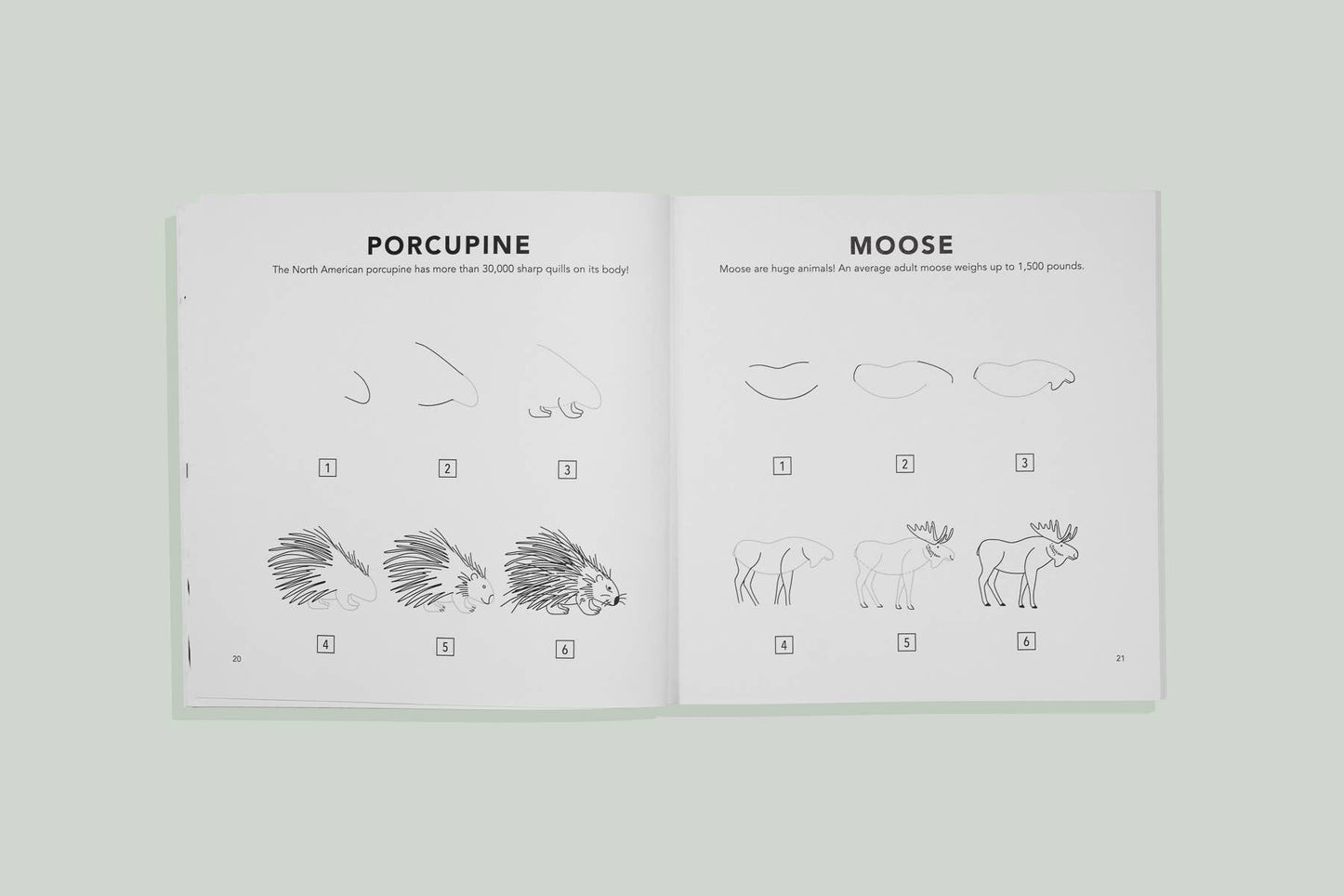 Paige Tate & Co. - Mushrooms & Woodland Creatures: A Kids Drawing Book (fall)