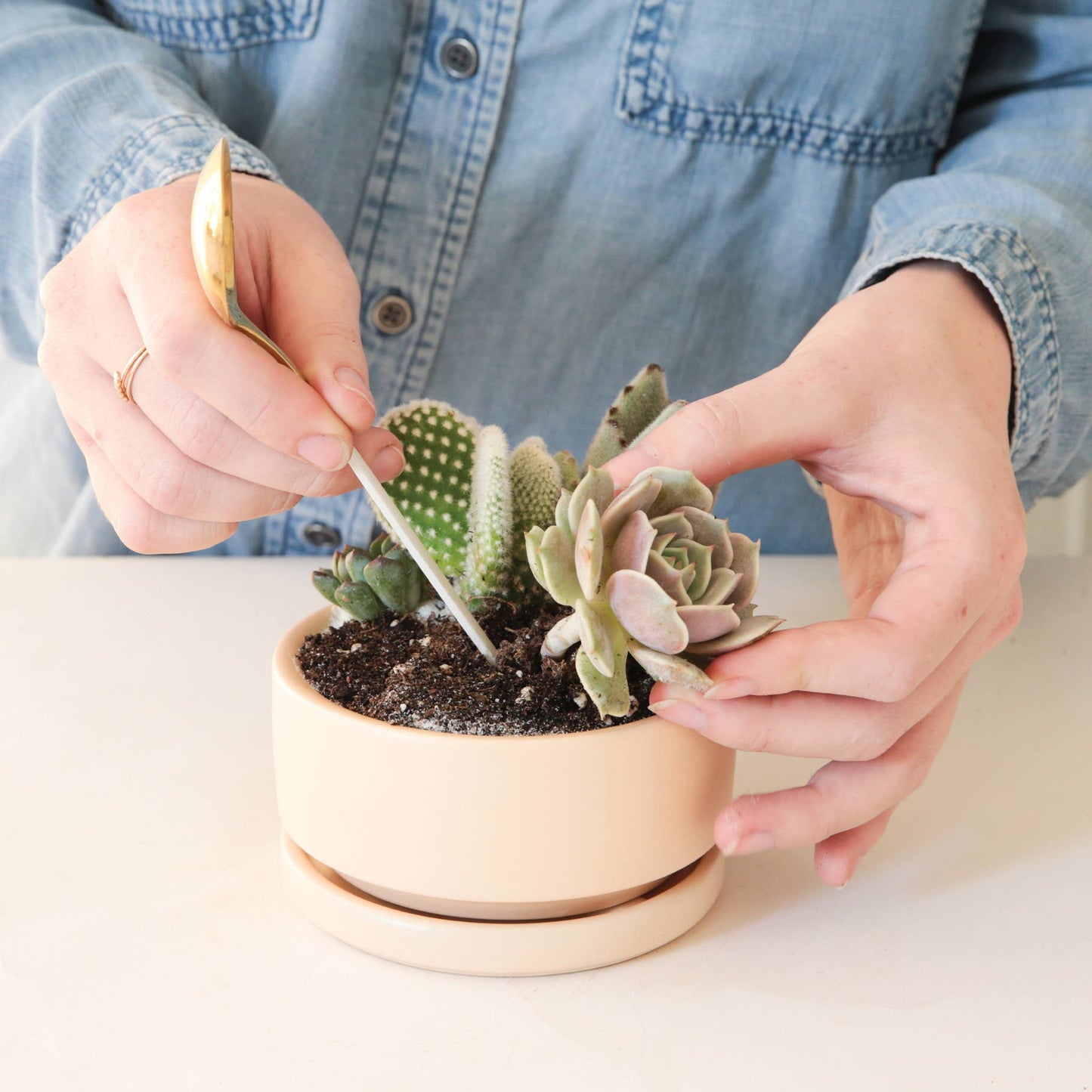 Jungle Club - Brass Planting Spoon