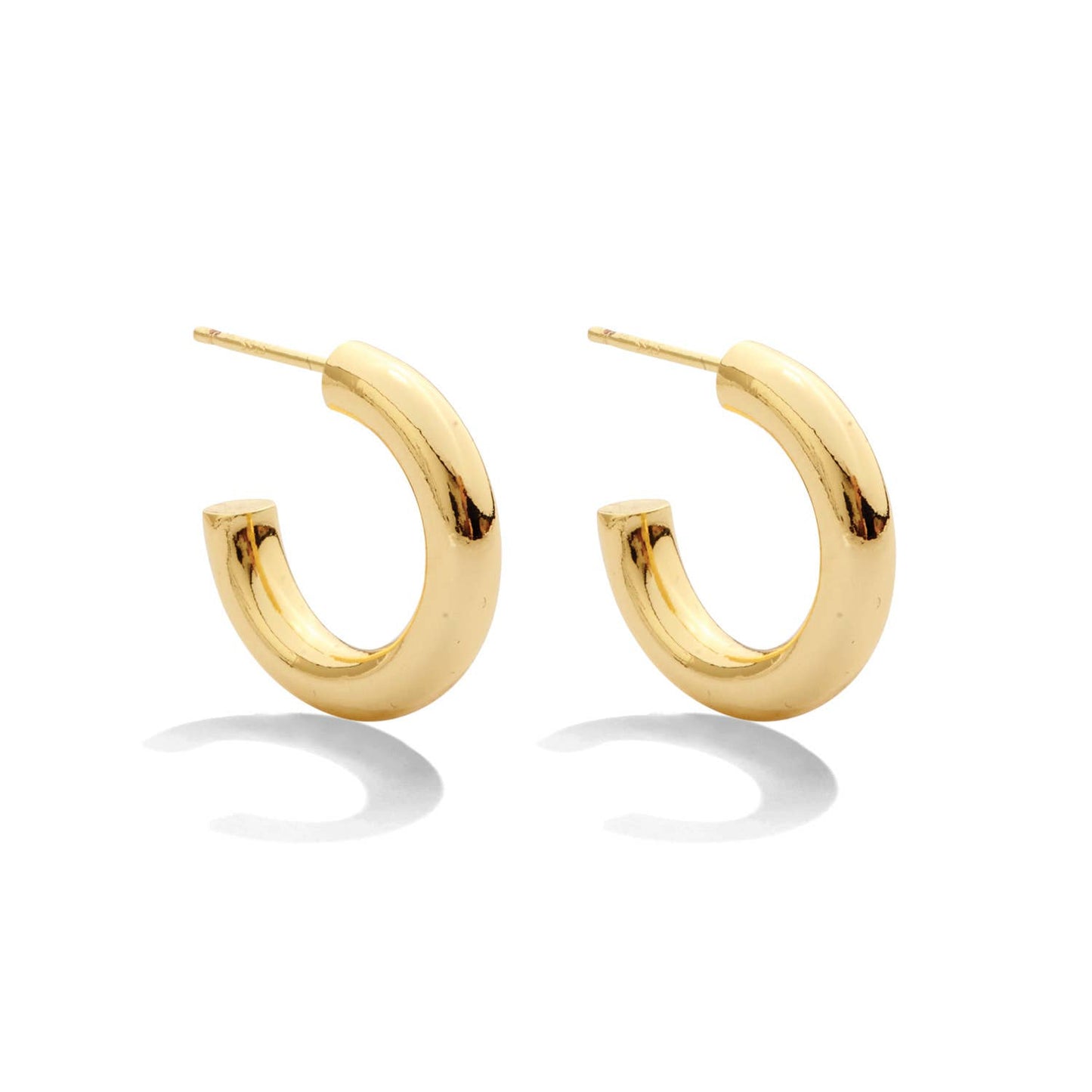 Splendid Iris - The Perfect Hoop Earrings