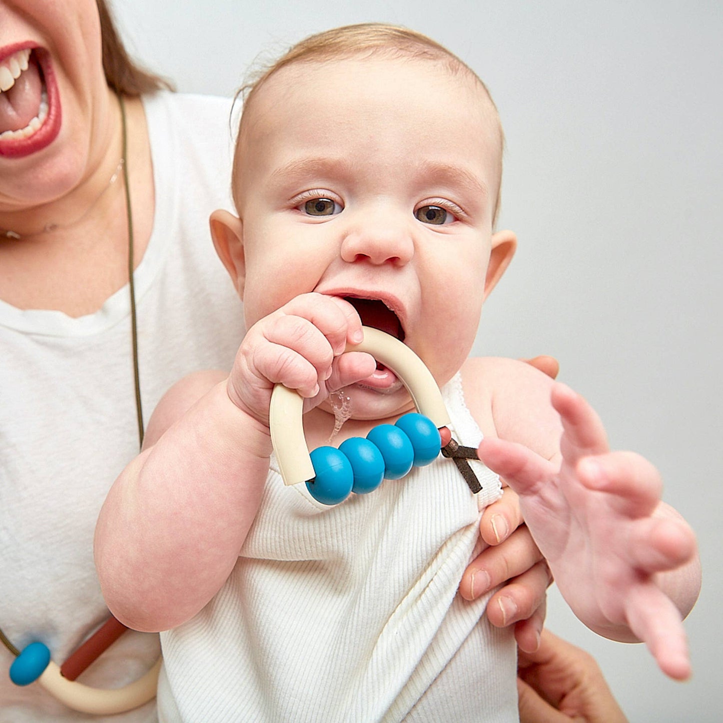 January Moon - Mesa Arch Teether