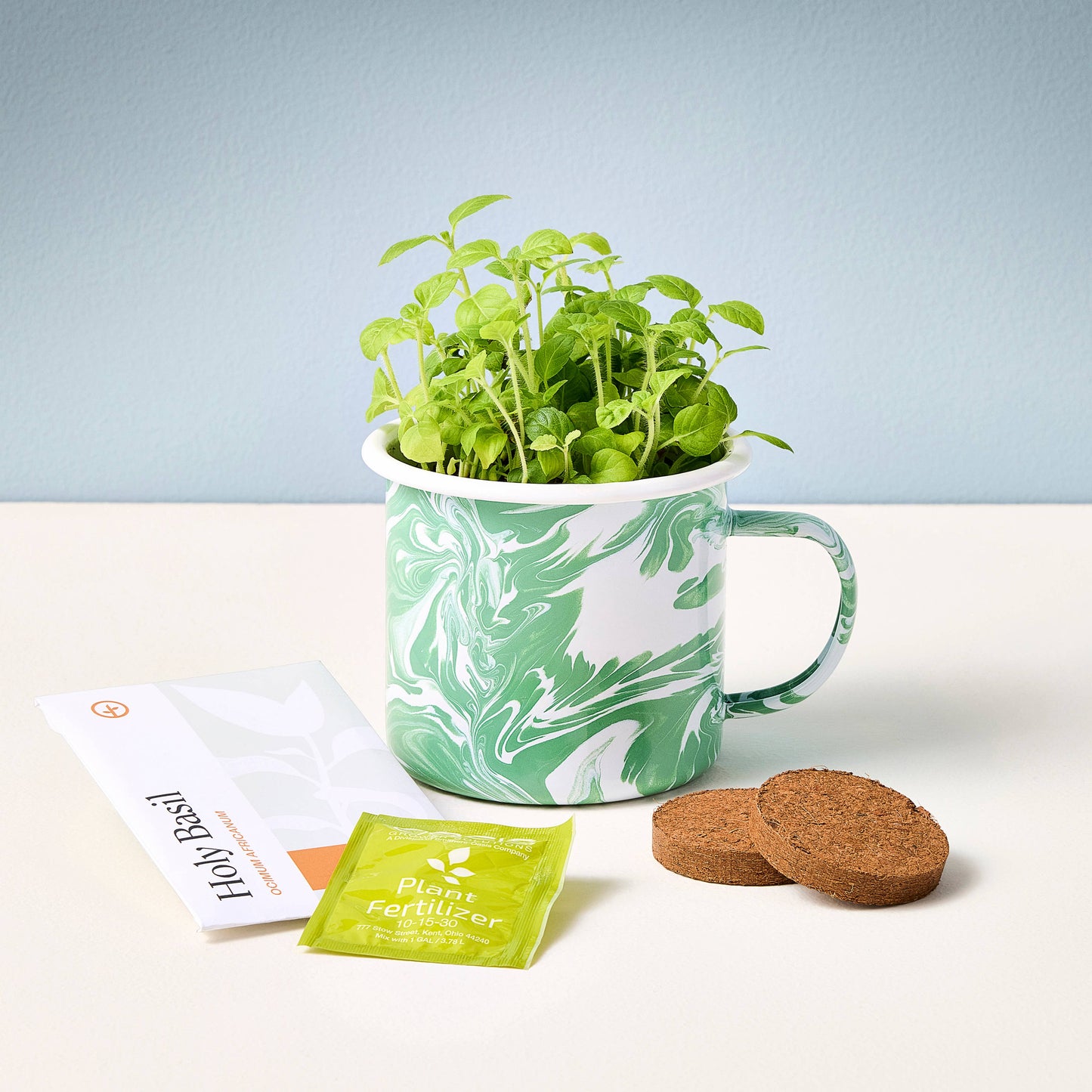 Modern Sprout - Altered Herbs Mug Grow Kits