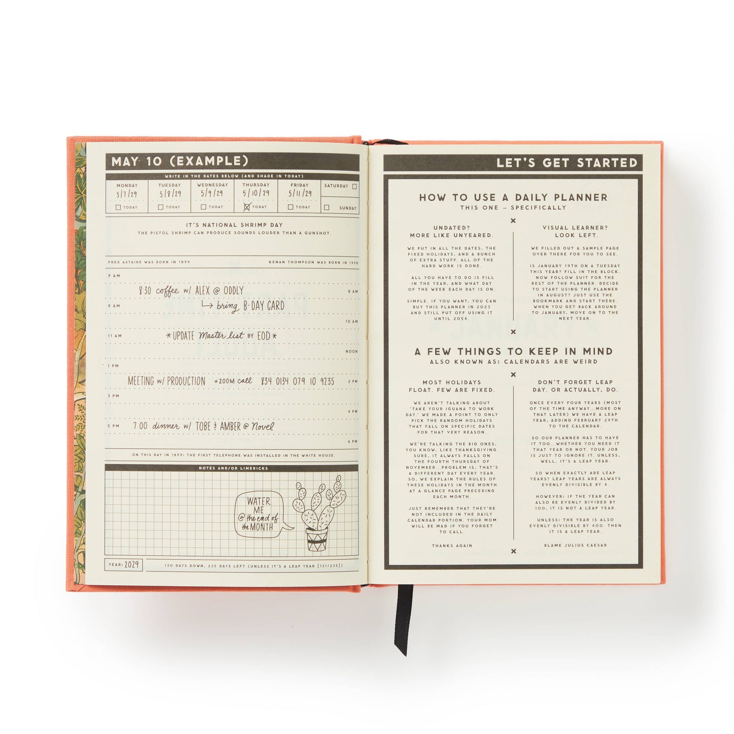 Brass Monkey - Part-Time Adult Undated Daily Planner