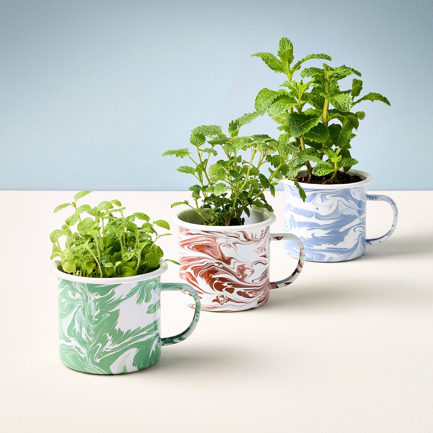 Modern Sprout - Altered Herbs Mug Grow Kits