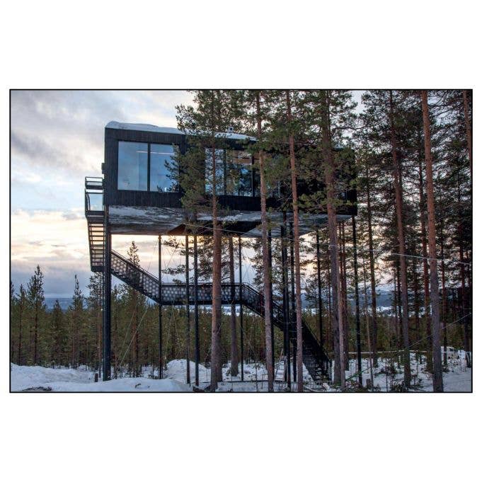 ACC Art Books Ltd - Tree Houses