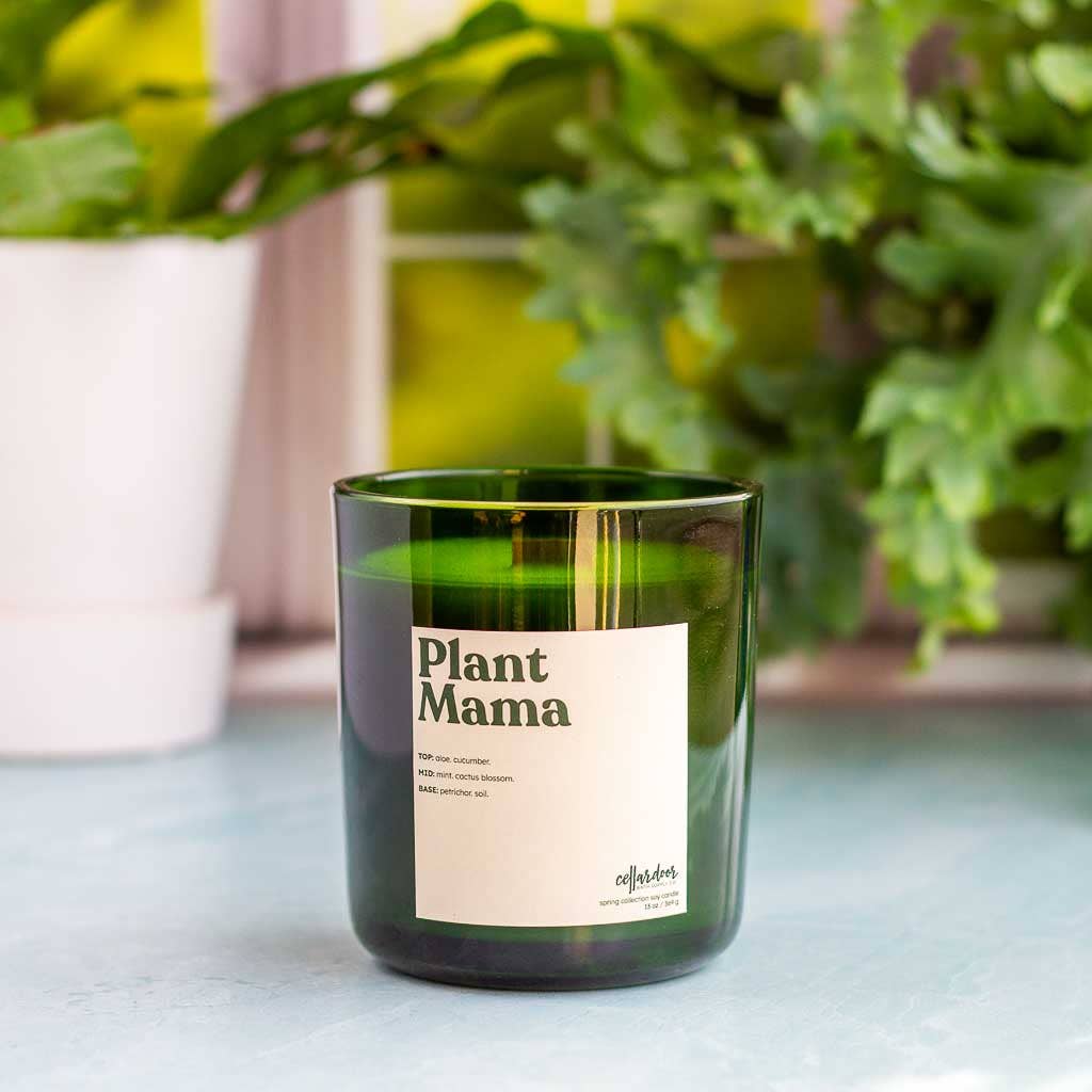 Cellar Door Bath Supply Co. - Plant Mama - 13 oz Double Wick Soy Candle