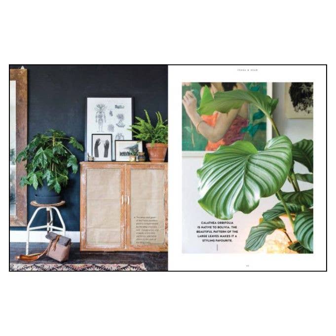 ACC Art Books Ltd - Urban Jungle Living & Styling with Plants