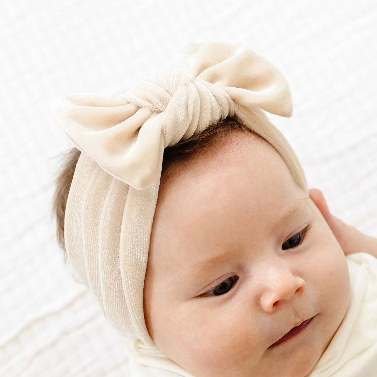 Lou Lou & Company - Velvet - Latte Knot Headband