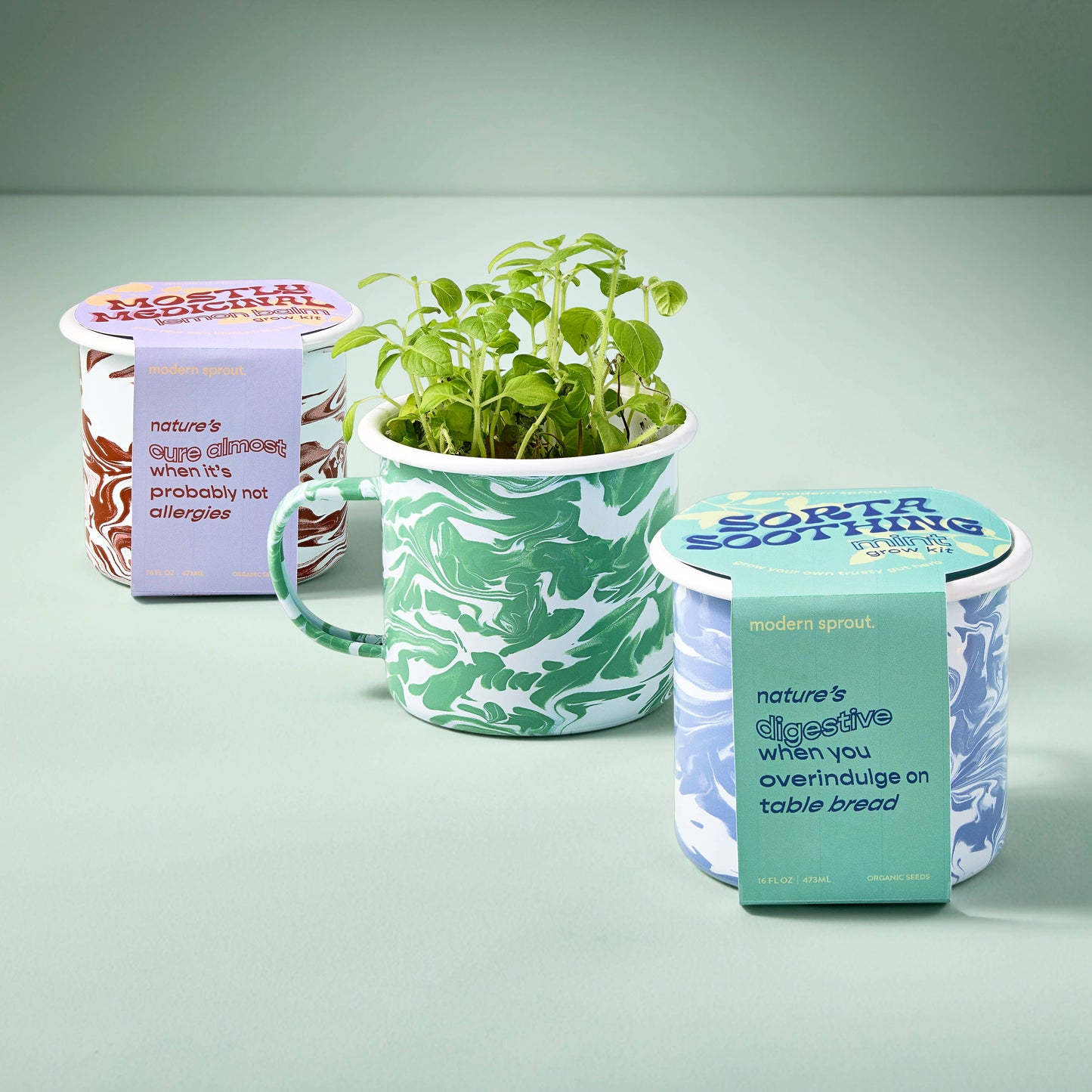 Modern Sprout - Altered Herbs Mug Grow Kits