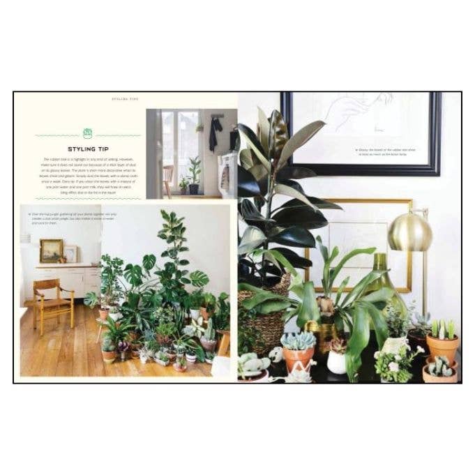 ACC Art Books Ltd - Urban Jungle Living & Styling with Plants