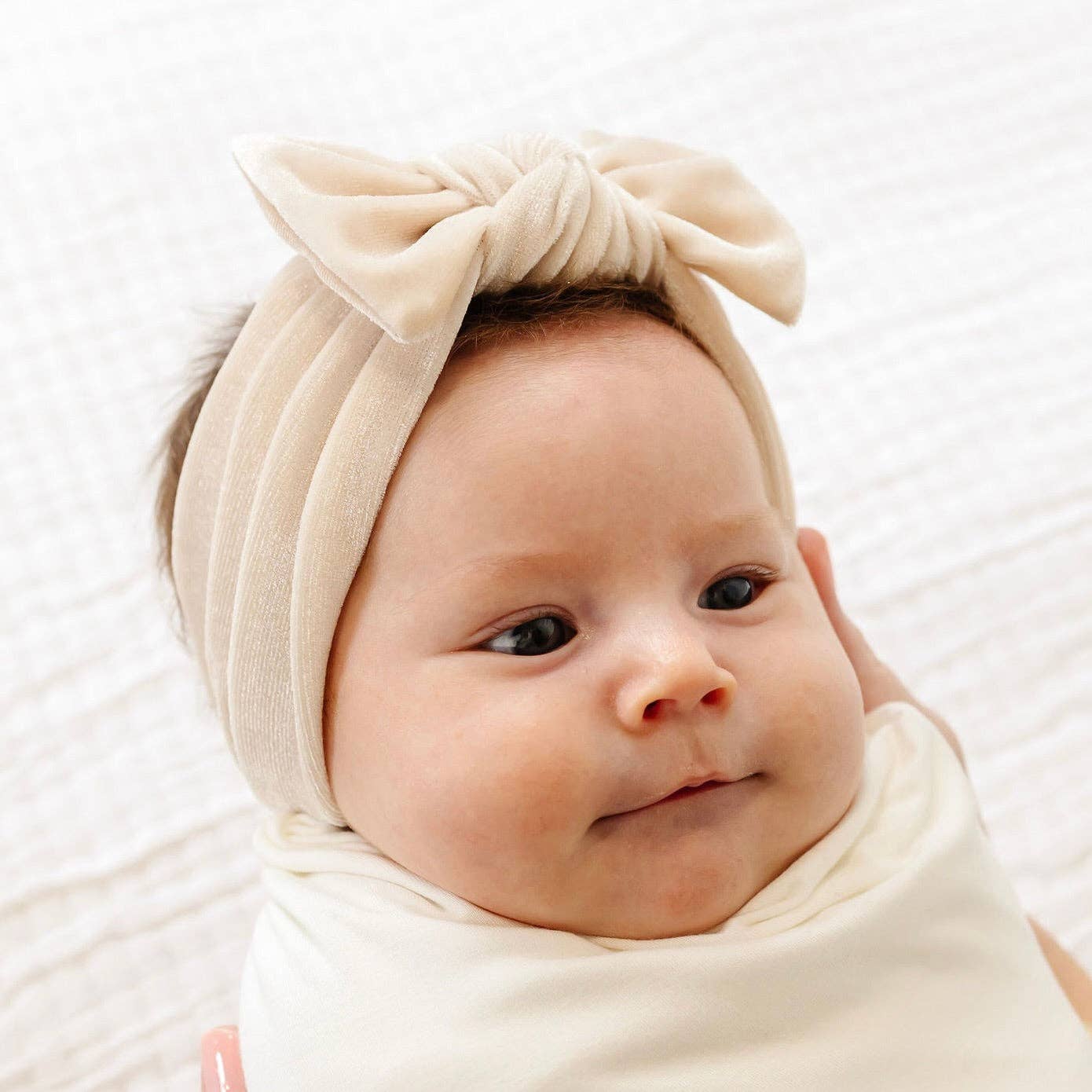 Lou Lou & Company - Velvet - Latte Knot Headband