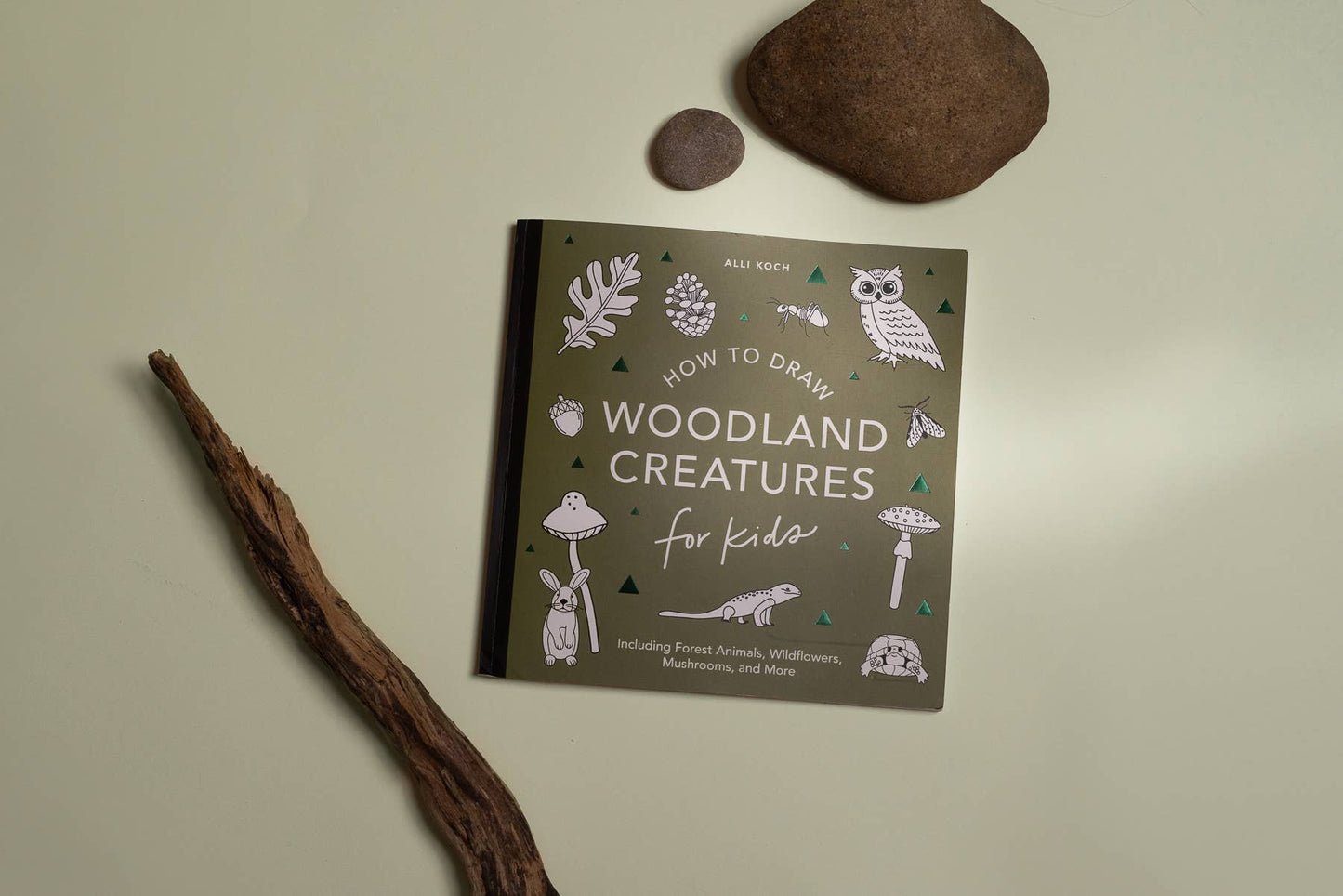 Paige Tate & Co. - Mushrooms & Woodland Creatures: A Kids Drawing Book (fall)