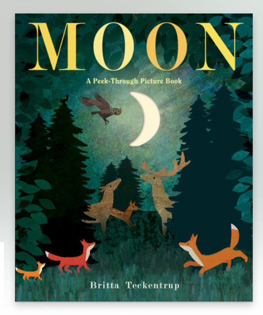 Moon: A Peek-Through Picture Book