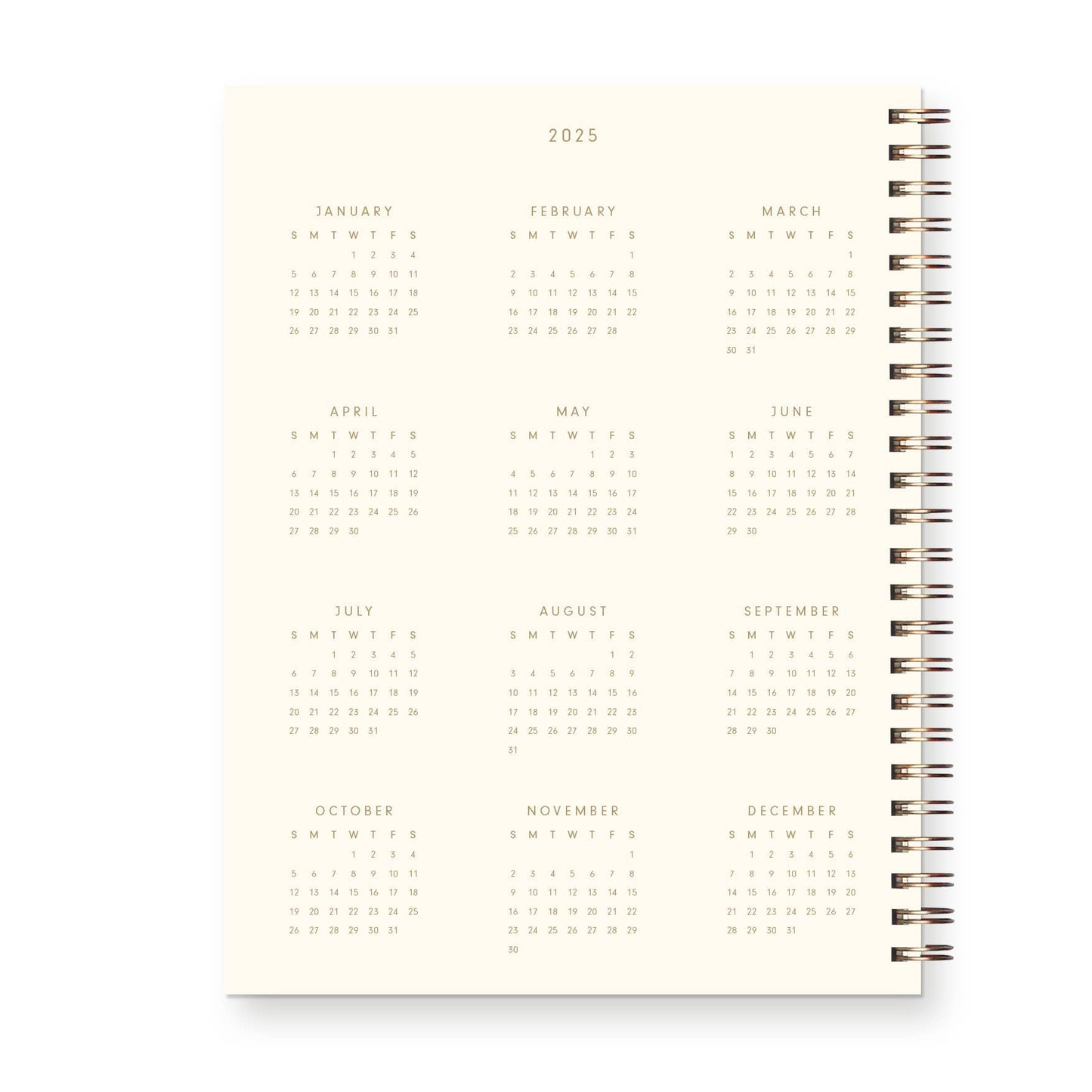 Ruff House Print Shop - 2025 Signature Dated Weekly Planner : Calendar Year