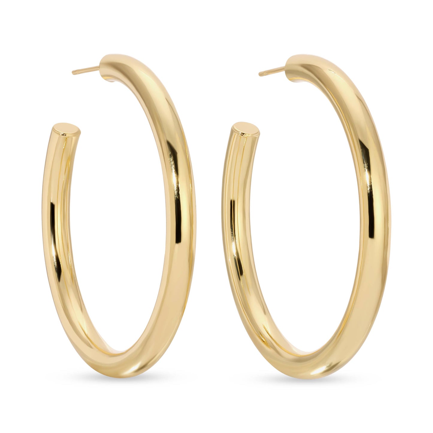 Splendid Iris - The Perfect Hoop Earrings