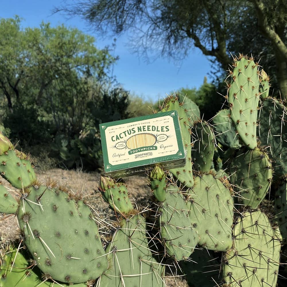 Seraparito Supply Co. - Cactus Needle Toothpicks