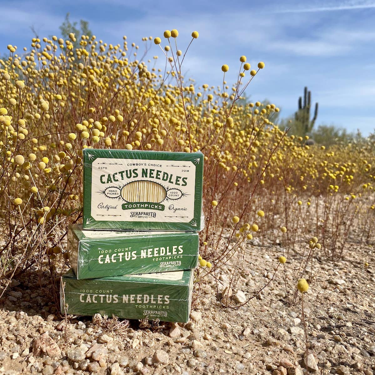 Seraparito Supply Co. - Cactus Needle Toothpicks