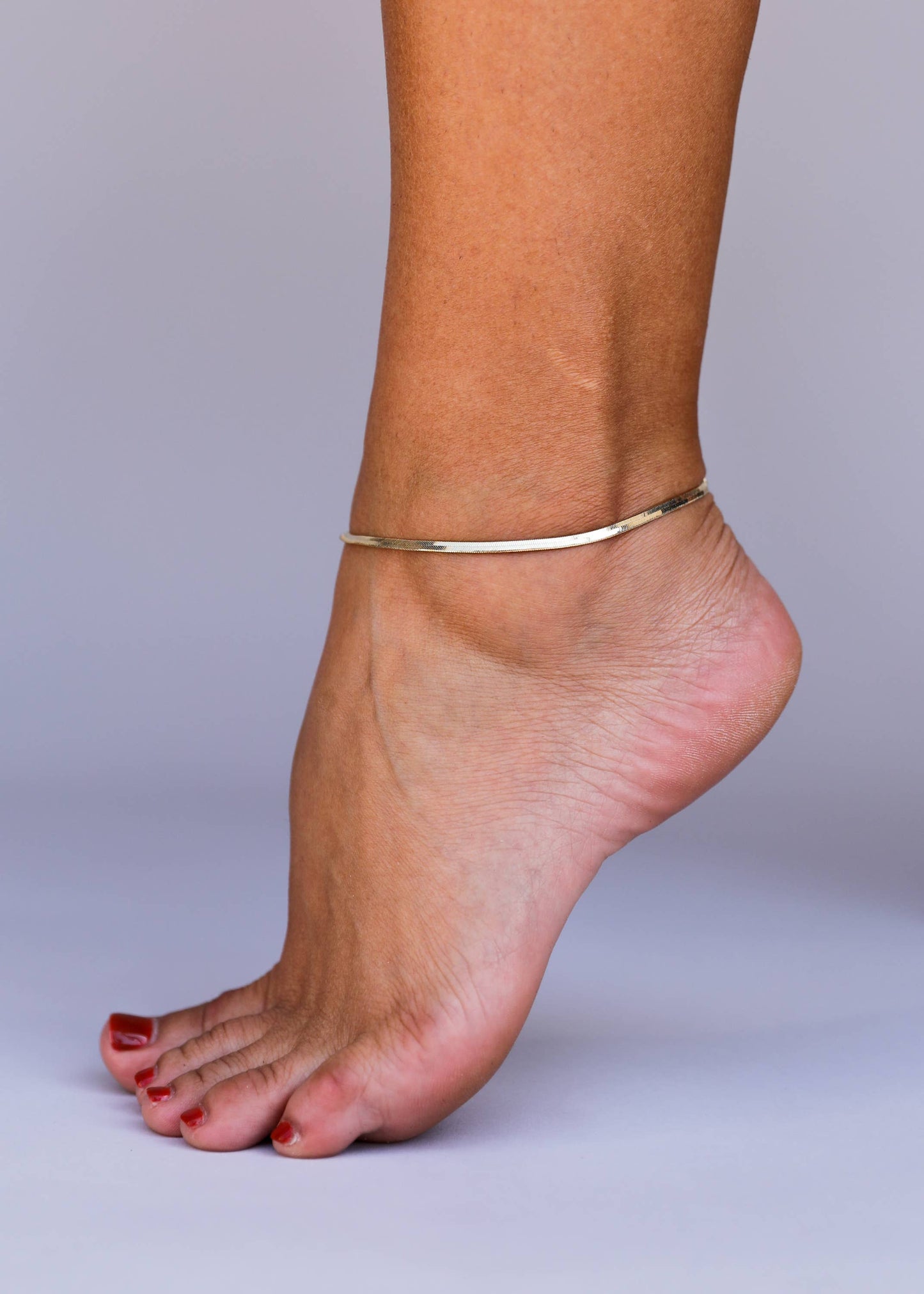 JaxKelly - Flat Snake Chain Anklet - 18k Gold Plated