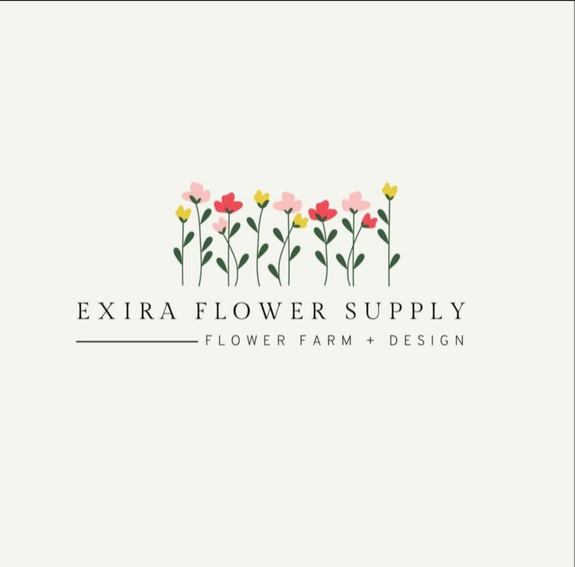 Exira Flower Supply - Assorted Plants